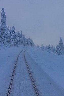 yolda kış manzara ile güzel harz içinde