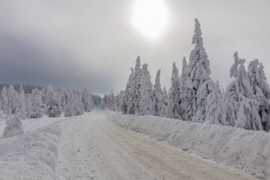 yolda kış manzara ile güzel harz içinde