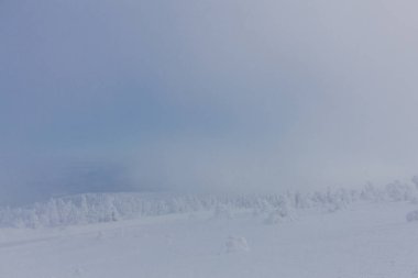 yolda kış manzara ile güzel harz içinde