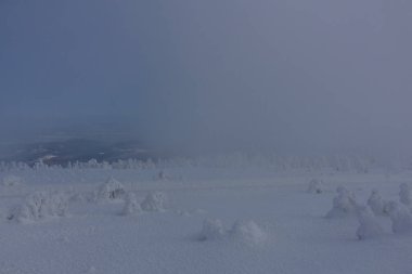 yolda kış manzara ile güzel harz içinde