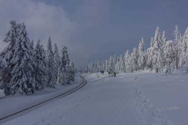 yolda kış manzara ile güzel harz içinde