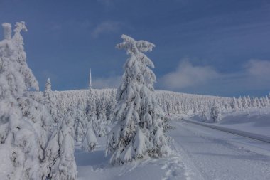 yolda kış manzara ile güzel harz içinde