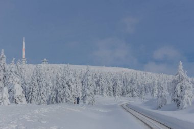 yolda kış manzara ile güzel harz içinde