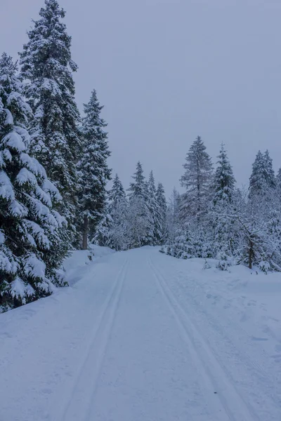 Way Winter Landscape Beautiful Harz — Stock Photo, Image