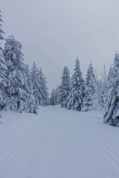 Unterwegs Der Winterlandschaft Durch Den Schönen Harz — Stockfoto