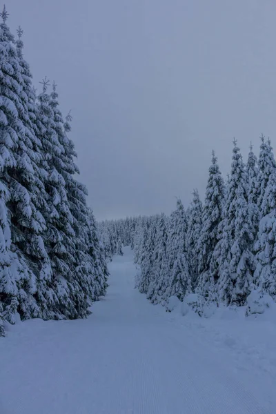 Στο Δρόμο Για Χειμώνα Τοπίο Μέσα Από Όμορφο Harz — Φωτογραφία Αρχείου