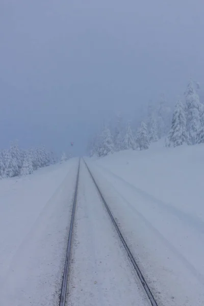 Sättet Vinterlandskapet Genom Vackra Harz — Stockfoto