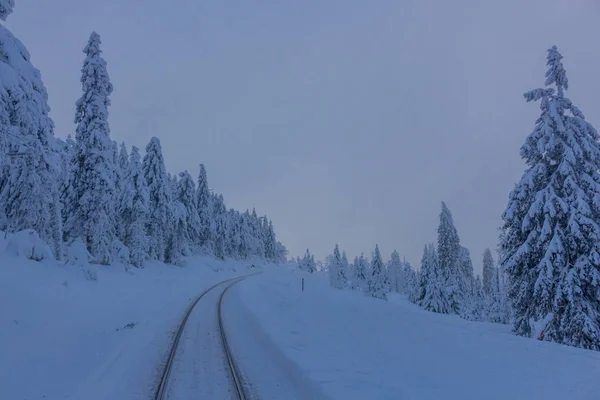 Στο Δρόμο Για Χειμώνα Τοπίο Μέσα Από Όμορφο Harz — Φωτογραφία Αρχείου