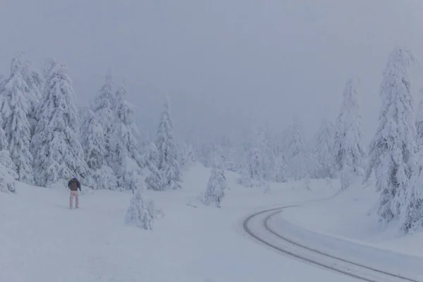 Sättet Vinterlandskapet Genom Vackra Harz — Stockfoto