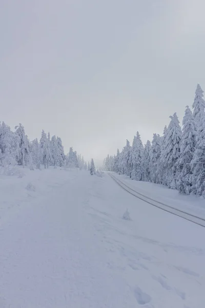 Unterwegs Der Winterlandschaft Durch Den Schönen Harz — Stockfoto