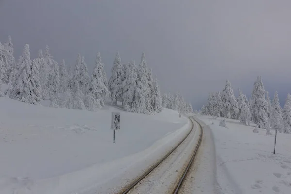 Yolda Kış Manzara Ile Güzel Harz Içinde — Stok fotoğraf