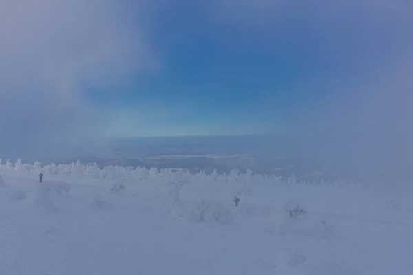 Дороге Зимний Пейзаж Через Красивый Гарц — стоковое фото