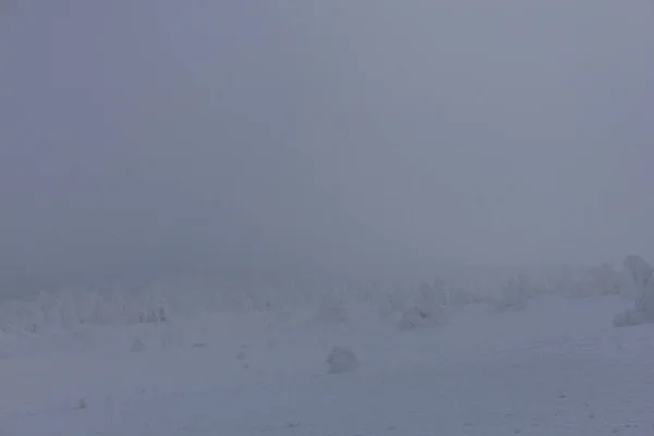 Camino Paisaje Invierno Través Del Hermoso Harz — Foto de Stock