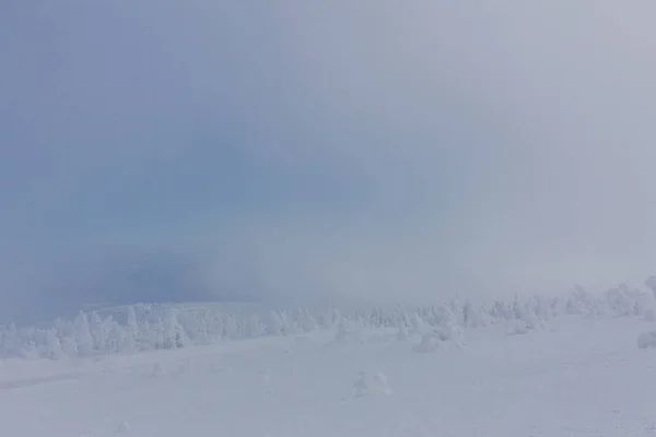 Camino Paisaje Invierno Través Del Hermoso Harz — Foto de Stock