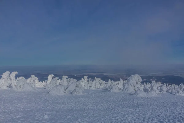 Camino Paisaje Invierno Través Del Hermoso Harz — Foto de Stock