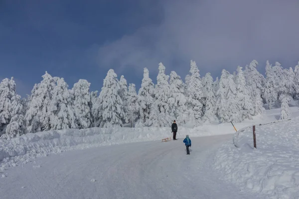 Sulla Strada Nel Paesaggio Invernale Attraverso Bellissimo Harz — Foto Stock