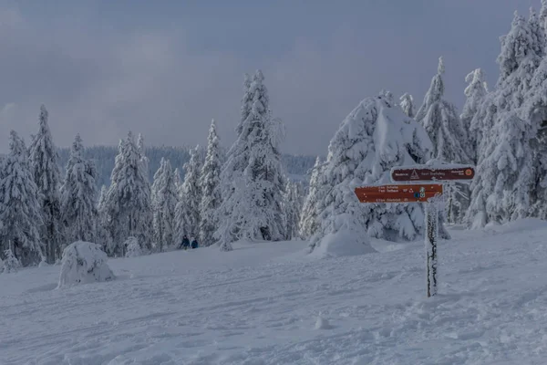Sulla Strada Nel Paesaggio Invernale Attraverso Bellissimo Harz — Foto Stock