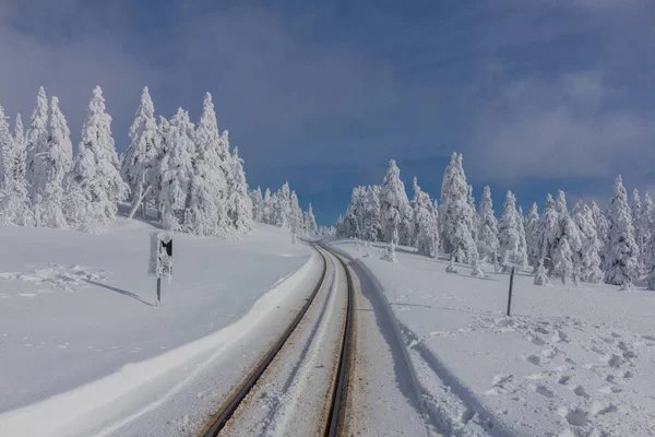 on the way in the winter landscape through the beautiful harz
