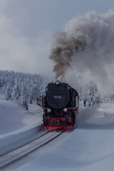 Caminho Paisagem Inverno Através Bela Harz — Fotografia de Stock