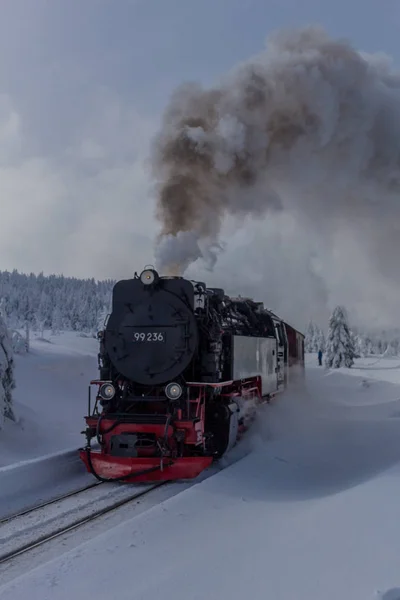 Sur Chemin Dans Paysage Hivernal Travers Magnifique Harz — Photo