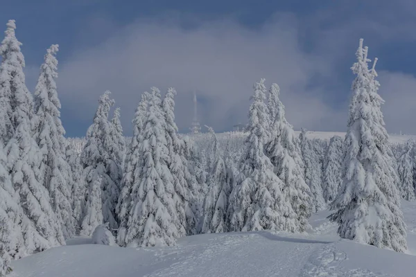 Cestě Zimní Krajině Prostřednictvím Krásných Harz — Stock fotografie