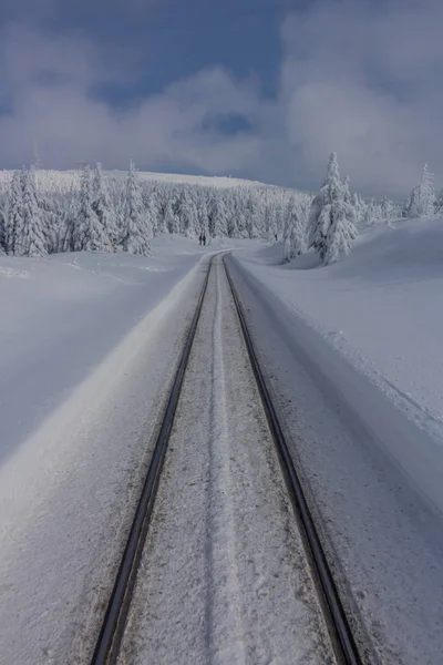 Sulla Strada Nel Paesaggio Invernale Attraverso Bellissimo Harz — Foto Stock