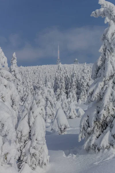 Téli Táj Gyönyörű Harz Keresztül Útközben — Stock Fotó