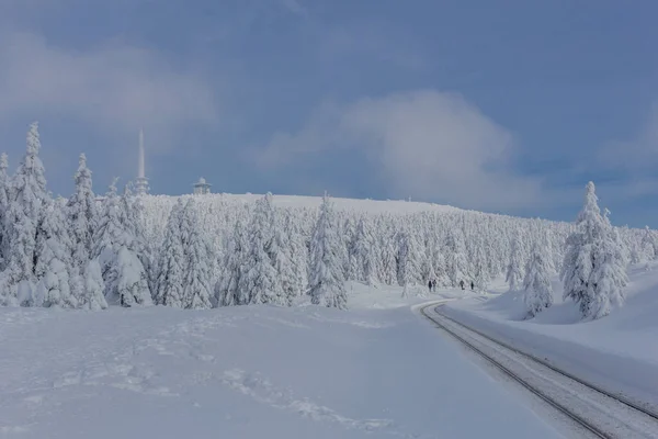 Sättet Vinterlandskapet Genom Vackra Harz — Stockfoto