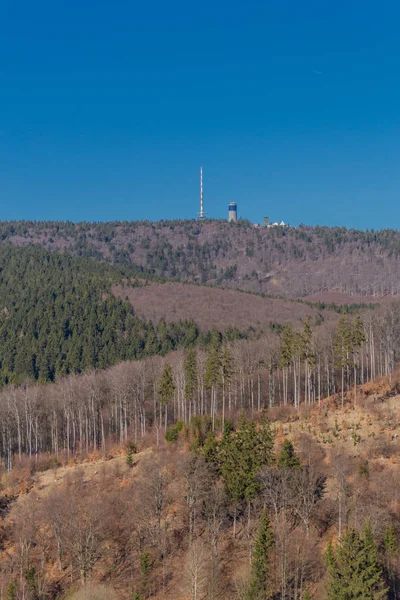 Día Primavera Temprano Largo Del Rennsteig —  Fotos de Stock