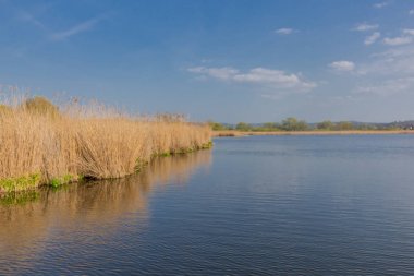 güzel werratal vadisinde Breitungen gölünde güneş ışığı ilk ışınları yakalamak