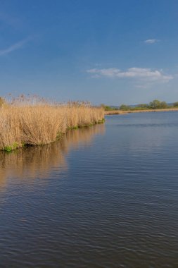 güzel werratal vadisinde Breitungen gölünde güneş ışığı ilk ışınları yakalamak
