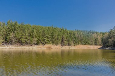 Thüringen Ormanı'nın kuzey ucundaki Heyda barajı çevresinde keşif turu