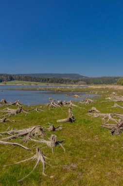 Thüringen Ormanı'nın kuzey ucundaki Heyda barajı çevresinde keşif turu