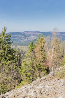Rennsteig çevresinde güneş ışığının ilk ışınlarını yakalayın ve aynı zamanda güzel doğanın tadını çıkarın.