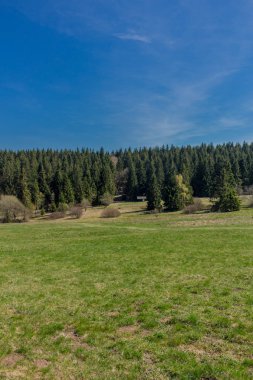 Rennsteig çevresinde güneş ışığının ilk ışınlarını yakalayın ve aynı zamanda güzel doğanın tadını çıkarın.