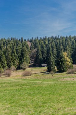 Rennsteig çevresinde güneş ışığının ilk ışınlarını yakalayın ve aynı zamanda güzel doğanın tadını çıkarın.