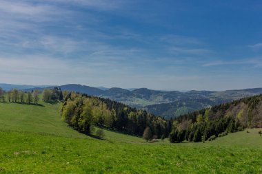 Rennsteig çevresinde güneş ışığının ilk ışınlarını yakalayın ve aynı zamanda güzel doğanın tadını çıkarın.