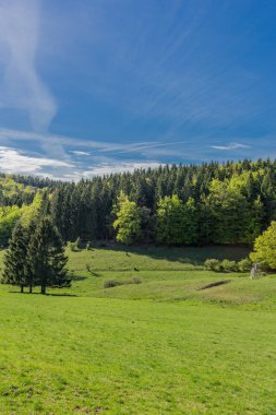 Rennsteig çevresinde güneş ışığının ilk ışınlarını yakalayın ve aynı zamanda güzel doğanın tadını çıkarın.