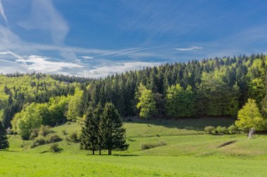 Rennsteig çevresinde güneş ışığının ilk ışınlarını yakalayın ve aynı zamanda güzel doğanın tadını çıkarın.