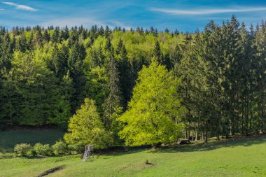 Rennsteig çevresinde güneş ışığının ilk ışınlarını yakalayın ve aynı zamanda güzel doğanın tadını çıkarın.