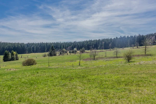 Rennsteig çevresinde güneş ışığının ilk ışınlarını yakalayın ve aynı zamanda güzel doğanın tadını çıkarın.