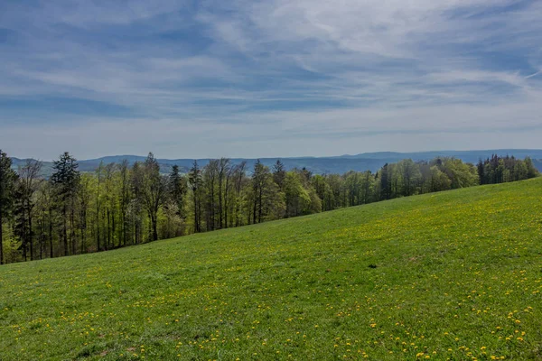 บภาพร แรกของแสงแดดรอบ Rennsteig และเพล ดเพล นไปก บธรรมชาต สวยงามในเวลาเด ยวก — ภาพถ่ายสต็อก