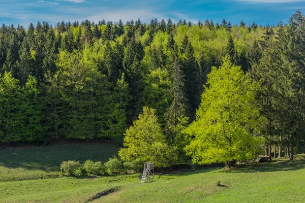 Leg Eerste Zonnestralen Rond Rennsteig Vast Geniet Tegelijkertijd Van Prachtige — Stockfoto