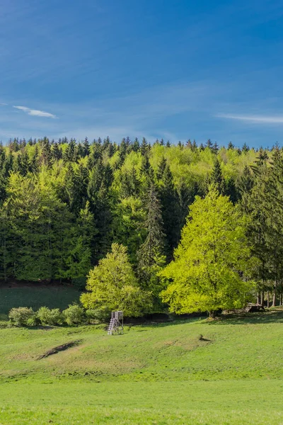 Die Ersten Sonnenstrahlen Rund Den Rennsteig Einfangen Und Gleichzeitig Die — Stockfoto