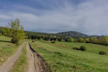 Rennsteig çevresinde güneş ışığının ilk ışınlarını yakalayın ve aynı zamanda güzel doğanın tadını çıkarın.