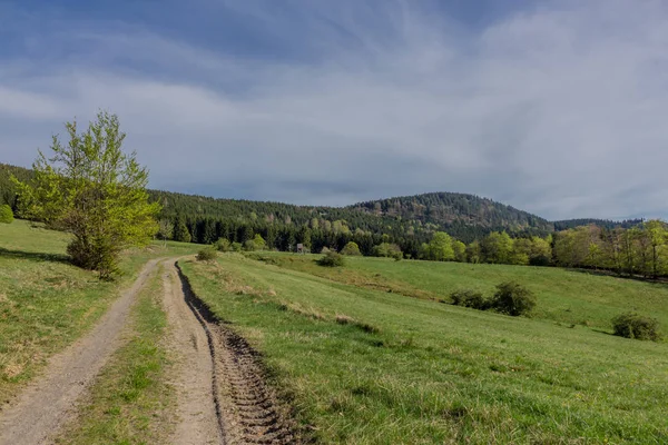Rennsteig çevresinde güneş ışığının ilk ışınlarını yakalayın ve aynı zamanda güzel doğanın tadını çıkarın.