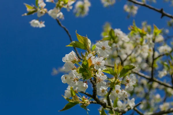 Eerste Zonnestralen Prachtige Oude Binnenstad Van Schmalkalden — Stockfoto