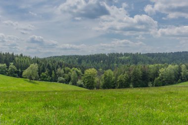 Rennsteig boyunca en güzel gün ışığında bahar benzeri bir uyanış.