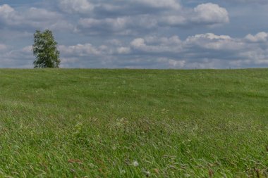 Rennsteig boyunca en güzel gün ışığında bahar benzeri bir uyanış.