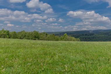 Rennsteig boyunca en güzel gün ışığında bahar benzeri bir uyanış.